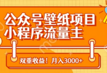 公众号壁纸项目，小程序流量主双收益，月入3000+-蜗牛学社