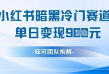 小红书冷门”暗黑”赛道,单日收益多张-蜗牛学社