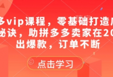 拼多多vip课程,零基础打造店铺的核心秘诀,助拼多多卖家在2025卖出爆款,订单不断-蜗牛学社