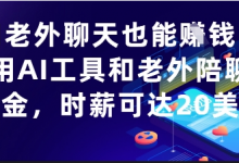 和老外聊天也能挣钱?利用AI工具和老外陪聊挣美金,时薪可达20刀-蜗牛学社