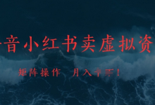 抖音小红书卖虚拟资料,市场需求一直存在,矩阵操作,月入1w+-蜗牛学社