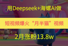 用Deepseek+海螺AI做短视频爆火“月半猫”视频,2月涨粉13.8w-蜗牛学社