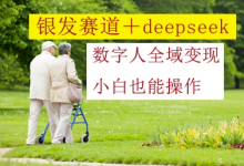 银发赛道+deepseek数字人全域变现,小白也能操作-蜗牛学社
