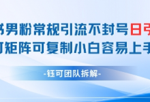 小红书男粉常规引流不封号日引99+变现简单 可矩阵可复制小白容易上手-蜗牛学社