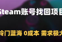 Steam账号找回项目,冷门蓝海,0成本,需求极大-蜗牛学社