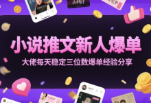 小说推文新人爆单大佬每天稳定三位数爆单经验分享-蜗牛学社