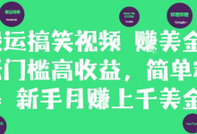 搬运搞笑视频挣美金,低门槛高收益,简单粗暴新手月入上千美刀-蜗牛学社
