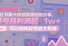 小红书聚光投放实操经验分享,单号月利润超1w+,可以矩阵起号放大利润-蜗牛学社