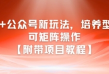AI+公众号新玩法之培养型,可矩阵操作【附带项目教程】-蜗牛学社