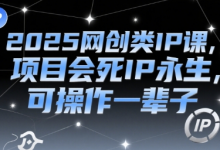 2025网创类IP课,项目会死IP永生,可操作一辈子-蜗牛学社