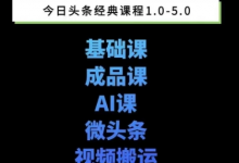 头条图文课1-5期教你头条图文写作、微头条、视频搬运变现，适合新手快速起号玩法-蜗牛学社