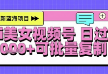 视频号AI美女跳舞暴力起号玩法,日入1k+,全程软件操作,小白也能玩的项目-蜗牛学社