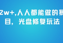 月入2w+,人人都能做的暴利项目,光盘修复玩法-蜗牛学社