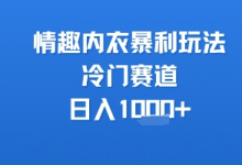 情趣内衣暴利玩法,冷门赛道,日入1k+-蜗牛学社