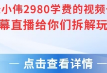 张小伟2980付费额视频号绿幕直播给你们拆解玩法-蜗牛学社