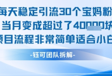每天稳定引流30个人 当月变成超过了4个W项目流程非常简单适合小白-蜗牛学社