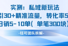实测私域新玩法日引30加精准流量转化率50%日销5-10单每笔3张-蜗牛学社