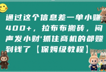 通过这个信息差一单小挣4张+，拉布布搬砖，闷声发小财抓住商机的都挣到钱了【保姆级教程】-蜗牛学社