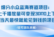 小众蓝海赛道项目：当天变现1k+适合新手操作 +适合长期玩-蜗牛学社