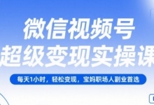 微信视频号超级变现实操课,每天1小时,轻松变现,宝妈职场人副业首选-蜗牛学社