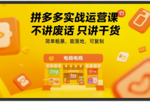 拼多多实战运营课,不讲废话只讲干货,简单粗暴,能落地,可复制-蜗牛学社