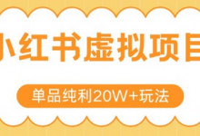 小红书卖虚拟产品,单品纯利20W+玩法分享,4节系列课程-蜗牛学社