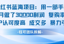小红书蓝海项目,一部手机单月做了3W利润,小白也能月入过1W用户认可度高成交多-蜗牛学社