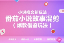 小说推文新玩法,番茄小说故事混剪(爆款借鉴玩法)-蜗牛学社