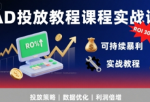 AD投放教程课程实战课，实现广告ROI300%+可持续暴利-蜗牛学社