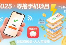 2025年零撸手机项目,二十秒一单,纯薅羊毛 一天2张+做就有-蜗牛学社