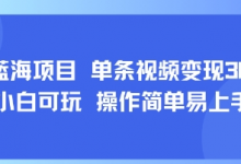 8月AI蓝海项目，单条视频变现1k+ 小白可玩 操作简单易上手-蜗牛学社