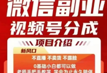 微信副业视频号分成,不直播 不卖货 不露脸,三五分钟即可完成一条作,每日收益几十、几张不等-蜗牛学社