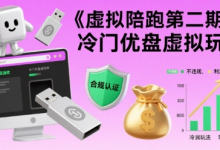 虚拟陪跑第二期,冷门优盘虚拟玩法,不违规,利润可观-蜗牛学社