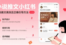 小说推文小红书高转化引导方法实操课,小说推文高效且正确引导方法-蜗牛学社