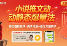 8月小说推文全新玩法,动静态图片+搭配小说文案爆量玩法-蜗牛学社