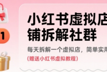 小红书虚拟店铺拆解社群,每天拆解一个虚拟店,简单实用(赠送小红书虚拟教程)-蜗牛学社