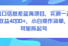 风口信息差蓝海项目,实测一天收益4k+,小白操作简单,可矩阵起号-蜗牛学社