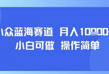 小众蓝海赛道，小白可做，操作简单，每天30分钟，月入1W+-蜗牛学社