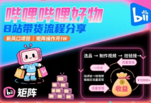 哔哩哔哩好物，B站带货流程分享，新风口项目，矩阵操作月1W-蜗牛学社