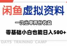 闲鱼虚拟资料新变现玩法，信息差项目，一次出单两份收益，无需囤货，可批量矩阵，零基础小白也能日入多张-蜗牛学社
