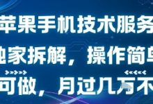 苹果手机技术服务,独家拆解,操作简单,小白可做,月过1W不是梦-蜗牛学社