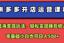 拼多多开店运营课程：蓝海变现玩法，轻松实现睡后收入，零基础小白也可日入5张-蜗牛学社