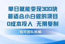 单日就能变现3张最适合小白做的项目0成本投入 无限复制-蜗牛学社