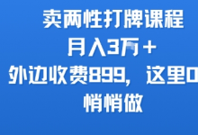 卖两性打牌课程，月入3W+外边收费899的课程，这里0元，悄悄做-蜗牛学社