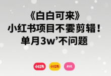 小白可来 小红书项目不需要剪辑 单月3w不是问题-蜗牛学社
