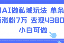 用AI做私域玩法，单条视频涨粉7W变现4.3k，小白可做-蜗牛学社