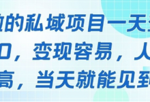 好做的私域项目一天变现1k+,变现容易,人群占比高,当天就能见到钱-蜗牛学社