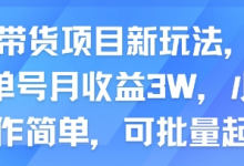 AI带货项目新玩法，实测单号月收益3W，小白操作简单，可批量起号-蜗牛学社