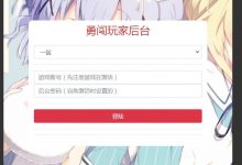 真勇闯阿拉德二合一CDK账号授权后台+清空邮件物品+账号全角色授权+带教程-蜗牛学社