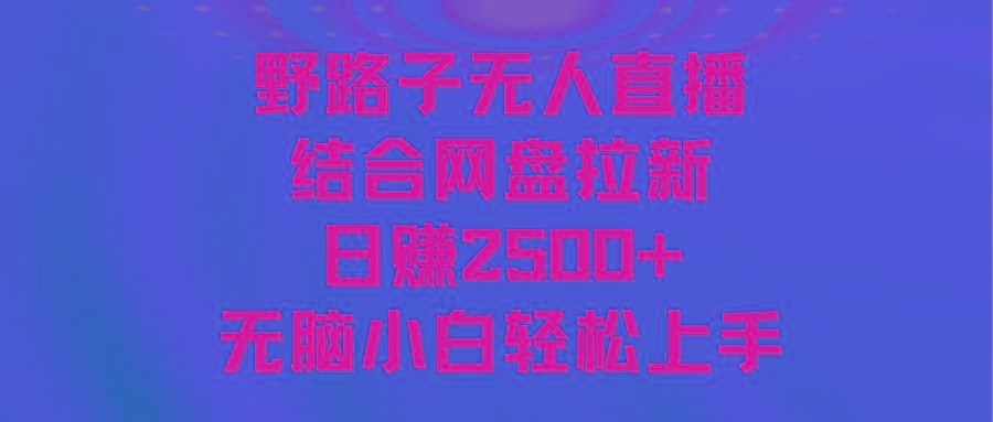 无人直播野路子结合网盘拉新,日赚2500+多平台变现,小白无脑轻松上手操作